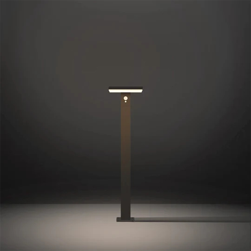 (XVII) CCCXXX Solaris velit Semita lux