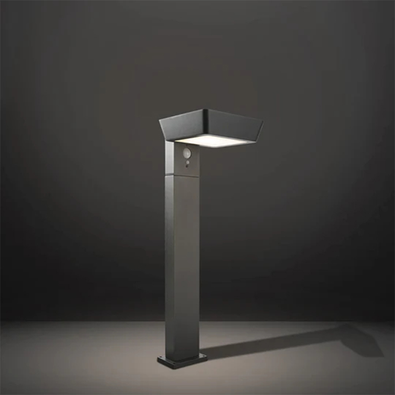 MCMLXXXV Solar velit Semita lumina